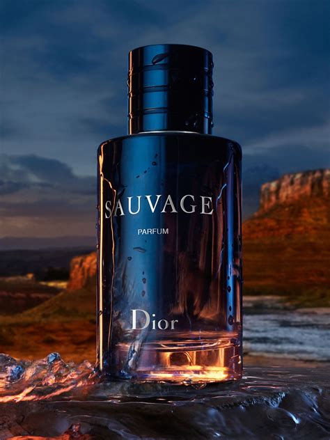 new dior sauvage parfum 2019the bay|sauvage Dior cost.